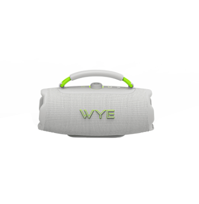 40W High Fidelity Wireless Speaker