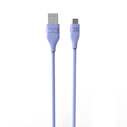 DC48 Fast Charging & Data Cable
